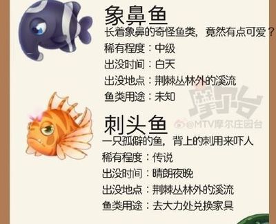 銀龍魚林,銀龍魚鱗片起黑點(diǎn)是怎么回事（銀龍魚鱗片起黑點(diǎn)可能是由多種因素引起的） 龍魚百科 第1張