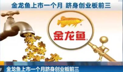 怎么固定金龍魚受傷泡沫（金龍魚受傷并且有泡沫附著，可以幫助金龍魚恢復(fù)健康） 龍魚百科 第4張