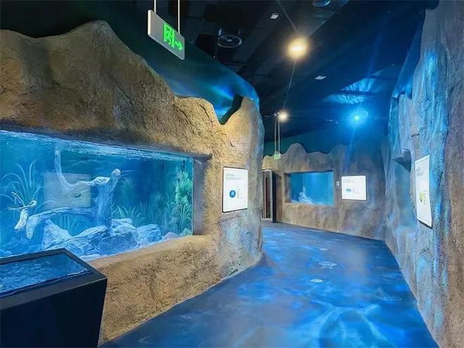 珠海香洲龍魚水族館地址在哪里（珠海龍魚世家水族館） 龍魚百科 第1張