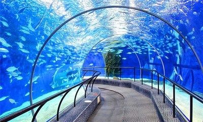 珠海香洲龍魚水族館地址在哪里（珠海龍魚世家水族館） 龍魚百科 第3張