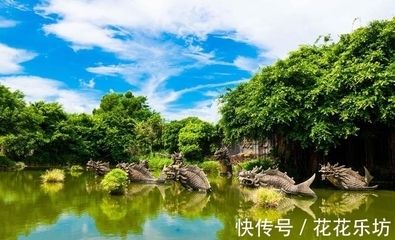 在廣東,養(yǎng)龍魚一般什么時侯需要加溫（在廣東地區(qū)養(yǎng)殖龍魚時，一般不需要加溫） 龍魚百科 第5張