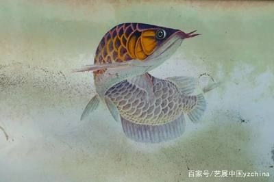 中國(guó)有龍魚嗎（中國(guó)不僅有龍魚，而且在中國(guó)受歡迎的觀賞魚，還具有重要的文化意義） 龍魚百科 第4張