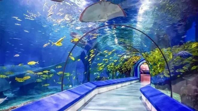 潮州水族館vs祥龍魚場（潮州水族館和祥龍魚場） 全國水族館企業(yè)名錄 第3張