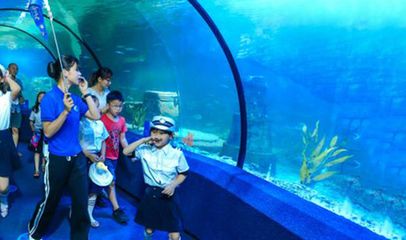 惠州水族館vs祥龍魚場(chǎng)（惠州水族館與祥龍魚場(chǎng)之間的區(qū)別） 全國(guó)水族館企業(yè)名錄 第4張