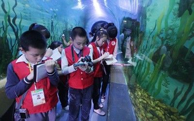 柳州水族館vs祥龍魚場（探討柳州水族館與祥龍魚場之間的差異，我們需要明確兩者的主要業(yè)務(wù)和特點） 全國水族館企業(yè)名錄 第2張