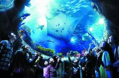 柳州水族館vs祥龍魚場（探討柳州水族館與祥龍魚場之間的差異，我們需要明確兩者的主要業(yè)務(wù)和特點） 全國水族館企業(yè)名錄 第1張