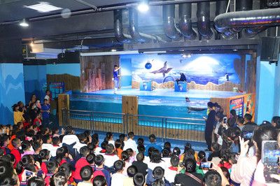 邵陽(yáng)水族館vs祥龍魚(yú)場(chǎng)（邵陽(yáng)水族館與祥龍魚(yú)場(chǎng)的區(qū)別） 全國(guó)水族館企業(yè)名錄 第3張