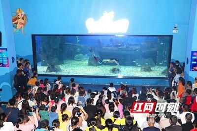 邵陽(yáng)水族館vs祥龍魚(yú)場(chǎng)（邵陽(yáng)水族館與祥龍魚(yú)場(chǎng)的區(qū)別） 全國(guó)水族館企業(yè)名錄 第2張