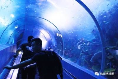 徐州水族館vs祥龍魚場（徐州水族館與祥龍魚場各有特色） 全國水族館企業(yè)名錄 第2張