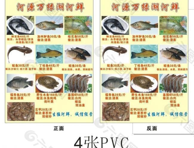 河源龍魚vs祥龍魚場（河源龍魚與祥龍魚場的區(qū)別） 全國水族館企業(yè)名錄 第3張