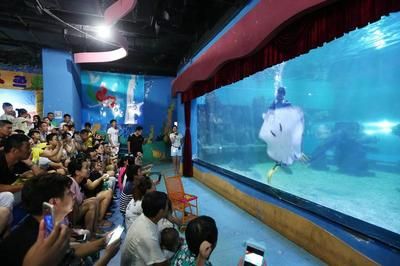 南通水族館vs祥龍魚(yú)場(chǎng)（南通水族館和祥龍魚(yú)場(chǎng)各有其特色和優(yōu)勢(shì)） 全國(guó)水族館企業(yè)名錄 第1張