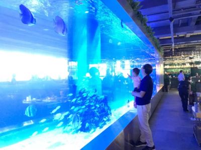 永州水族館vs祥龍魚場（永州水族館和祥龍魚場哪個好） 全國水族館企業(yè)名錄 第2張