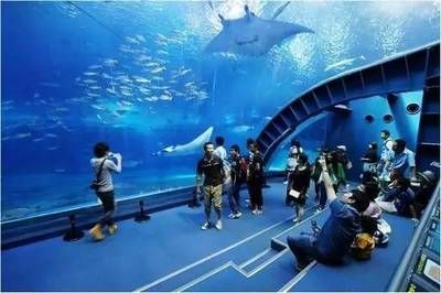 鄭州水族館vs祥龍魚場（探討鄭州水族館與祥龍魚場之間的差異之前需要明確兩者的主要業(yè)務(wù)和特色） 全國水族館企業(yè)名錄 第1張