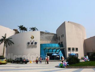 鄭州水族館vs祥龍魚場（探討鄭州水族館與祥龍魚場之間的差異之前需要明確兩者的主要業(yè)務(wù)和特色） 全國水族館企業(yè)名錄 第5張