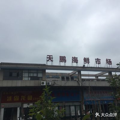 無錫龍魚vs祥龍魚場（無錫龍魚和祥龍魚場） 全國水族館企業(yè)名錄 第4張