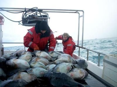 無錫龍魚vs祥龍魚場（無錫龍魚和祥龍魚場） 全國水族館企業(yè)名錄 第5張