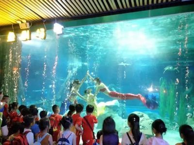 忻州水族館vs祥龍魚(yú)場(chǎng)（忻州水族館與祥龍魚(yú)場(chǎng)各有側(cè)重） 全國(guó)水族館企業(yè)名錄 第2張