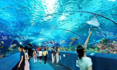 忻州水族館vs祥龍魚(yú)場(chǎng)（忻州水族館與祥龍魚(yú)場(chǎng)各有側(cè)重） 全國(guó)水族館企業(yè)名錄 第3張