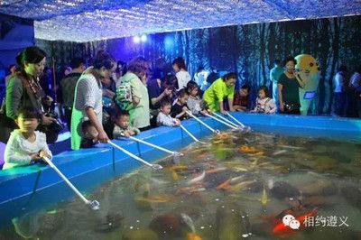 遵義水族館vs祥龍魚場（遵義水族館和祥龍魚場各有特點，選擇哪一個取決于你的具體需求） 全國水族館企業(yè)名錄 第2張