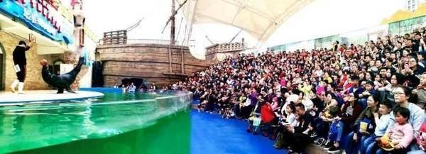 遵義水族館vs祥龍魚場（遵義水族館和祥龍魚場各有特點，選擇哪一個取決于你的具體需求） 全國水族館企業(yè)名錄 第5張