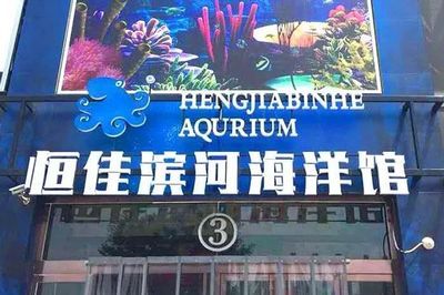 陽(yáng)泉水族館vs祥龍魚(yú)場(chǎng)（陽(yáng)泉水族館與祥龍魚(yú)場(chǎng)各有特點(diǎn)） 全國(guó)水族館企業(yè)名錄 第2張