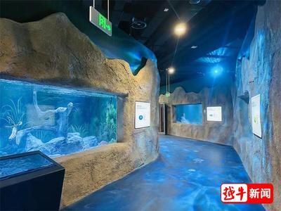 紹興水族館vs祥龍魚場（紹興水族館與祥龍魚場各有側(cè)重） 全國水族館企業(yè)名錄 第3張