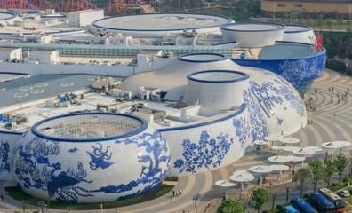 景德鎮(zhèn)水族館vs祥龍魚場（探討景德鎮(zhèn)水族館與祥龍魚場的區(qū)別之前需要明確兩者的基本信息和特點(diǎn)） 全國水族館企業(yè)名錄 第4張