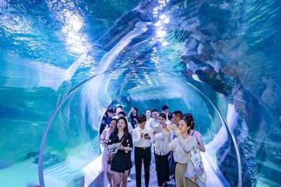 自貢水族館vs祥龍魚場(chǎng)（自貢水族館和祥龍魚場(chǎng)各有特色） 全國(guó)水族館企業(yè)名錄 第2張