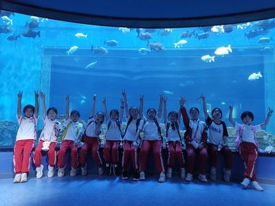 九江水族館vs祥龍魚(yú)場(chǎng)（九江水族館與祥龍魚(yú)場(chǎng)之前，我們需要明確兩者的主要業(yè)務(wù)和特點(diǎn)） 全國(guó)水族館企業(yè)名錄 第2張