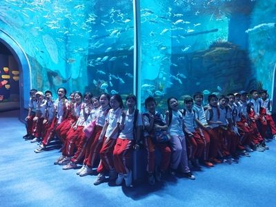 九江水族館vs祥龍魚(yú)場(chǎng)（九江水族館與祥龍魚(yú)場(chǎng)之前，我們需要明確兩者的主要業(yè)務(wù)和特點(diǎn)） 全國(guó)水族館企業(yè)名錄 第5張