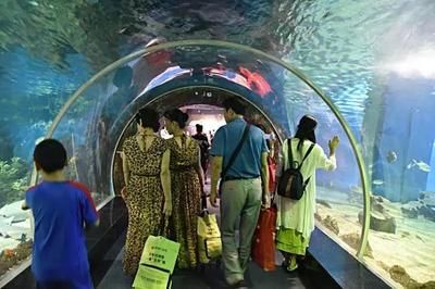 岳陽水族館vs祥龍魚場（岳陽水族館與祥龍魚場各有其特色和優(yōu)勢） 全國水族館企業(yè)名錄 第1張