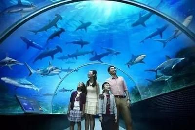 岳陽水族館vs祥龍魚場（岳陽水族館與祥龍魚場各有其特色和優(yōu)勢） 全國水族館企業(yè)名錄 第4張