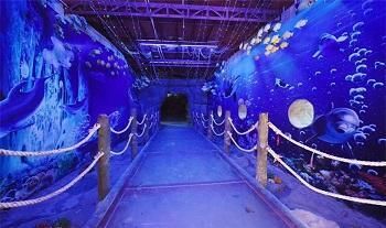 陽江水族館vs祥龍魚場（陽江水族館與祥龍魚場的區(qū)別） 全國水族館企業(yè)名錄 第5張