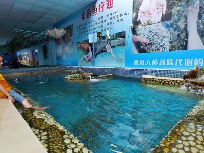 陽江水族館vs祥龍魚場（陽江水族館與祥龍魚場的區(qū)別） 全國水族館企業(yè)名錄 第2張