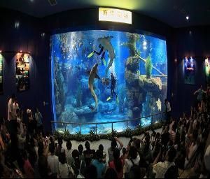 成都水族館vs祥龍魚(yú)場(chǎng)（成都水族館與祥龍魚(yú)場(chǎng)各有側(cè)重） 全國(guó)水族館企業(yè)名錄 第4張