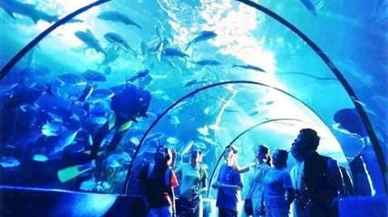 運城水族館vs祥龍魚場（運城水族館與祥龍魚場） 全國水族館企業(yè)名錄 第1張