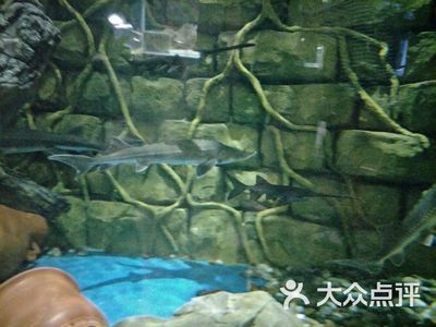 運城水族館vs祥龍魚場（運城水族館與祥龍魚場） 全國水族館企業(yè)名錄 第5張