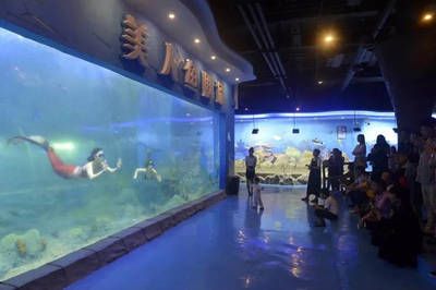 淮北水族館vs祥龍魚場（淮北市相山區(qū)龍鱗閣水族館和淮北市相山區(qū)居龍坊水族館） 全國水族館企業(yè)名錄 第2張