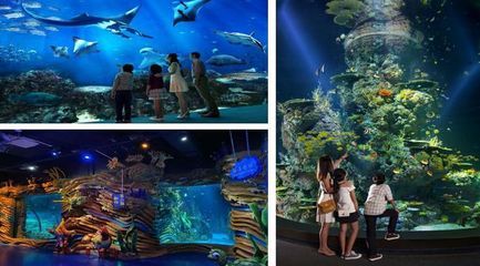 榆林水族館vs祥龍魚場（榆林市榆陽區(qū)水森林水族館和祥龍魚場有著更深的影響力） 全國水族館企業(yè)名錄 第1張