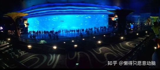 珠海水族館vs祥龍魚場(chǎng)（探討珠海水族館與祥龍魚場(chǎng)之間的差異） 全國(guó)水族館企業(yè)名錄 第4張