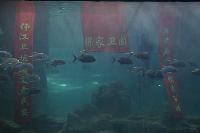 長春水族館vs祥龍魚場（長春水族館和祥龍魚場） 全國水族館企業(yè)名錄 第2張