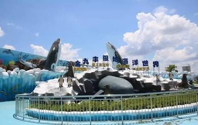 龍巖水族館vs祥龍魚場(chǎng)（龍巖水族館一三五七養(yǎng)魚新手也能養(yǎng)好魚祥龍魚場(chǎng)） 全國(guó)水族館企業(yè)名錄 第1張