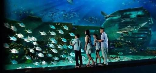 龍巖水族館vs祥龍魚場(chǎng)（龍巖水族館一三五七養(yǎng)魚新手也能養(yǎng)好魚祥龍魚場(chǎng)） 全國(guó)水族館企業(yè)名錄 第2張