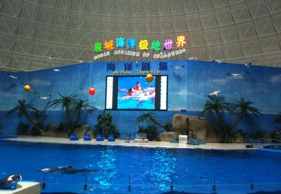 德州水族館vs祥龍魚場（德州水族館與祥龍魚場的區(qū)別） 全國水族館企業(yè)名錄 第2張