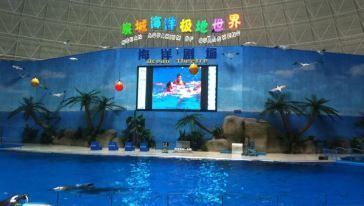 德州水族館vs祥龍魚場（德州水族館與祥龍魚場的區(qū)別） 全國水族館企業(yè)名錄 第3張