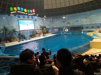 德州水族館vs祥龍魚場（德州水族館與祥龍魚場的區(qū)別） 全國水族館企業(yè)名錄 第4張