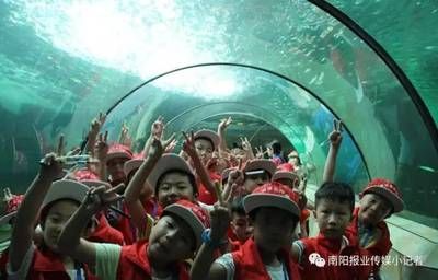 南陽(yáng)水族館vs祥龍魚(yú)場(chǎng)（南陽(yáng)水族館和祥龍魚(yú)場(chǎng)各有其特色和目標(biāo)客戶群） 全國(guó)水族館企業(yè)名錄 第2張