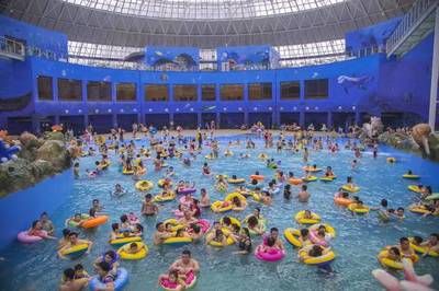 營口水族館vs祥龍魚場（營口水族館和祥龍魚場有什么區(qū)別？） 全國水族館企業(yè)名錄 第3張