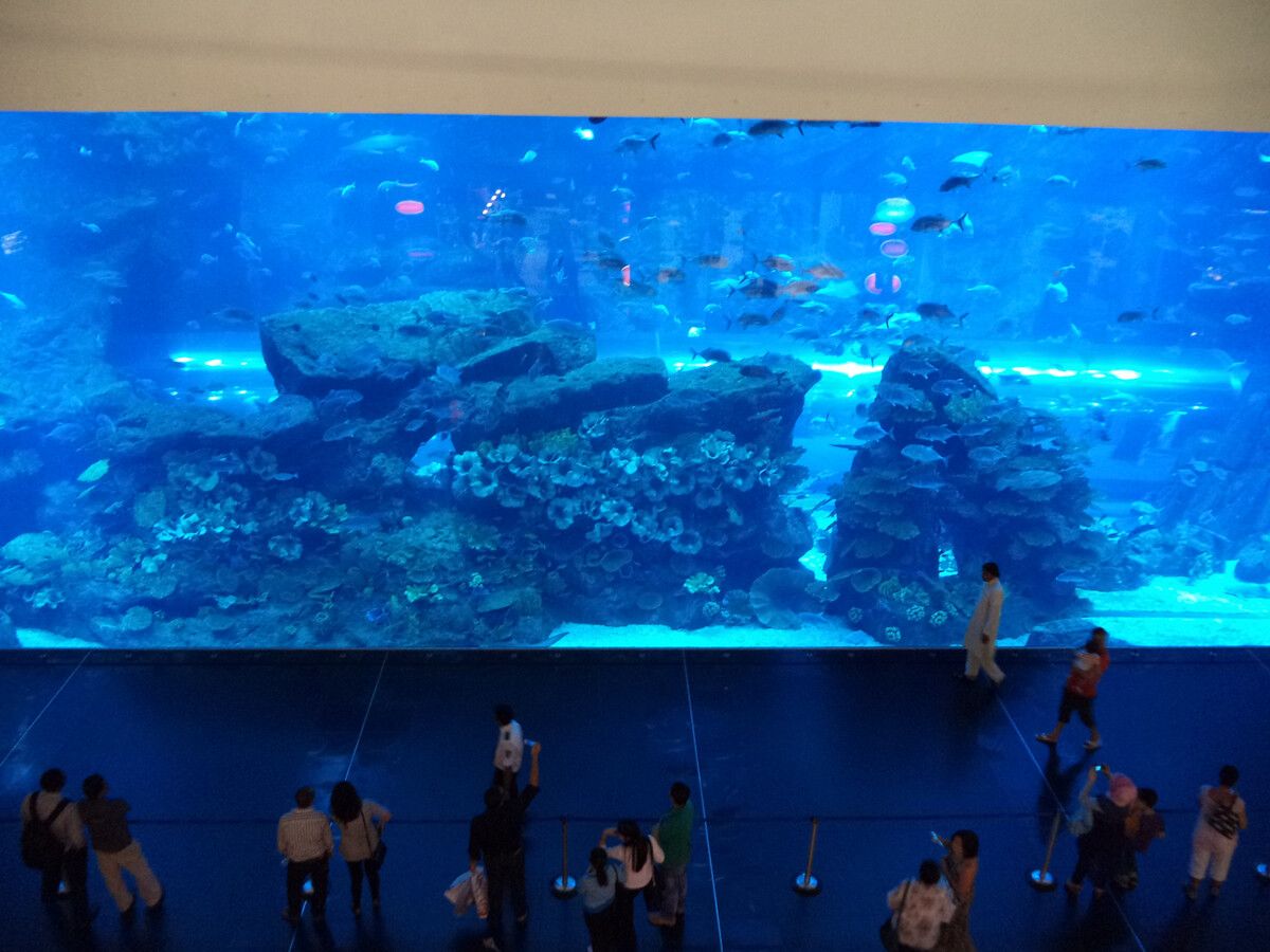 玉溪水族館vs祥龍魚場（玉溪水族館與祥龍魚場之間的差異之前，我們需要明確基本信息和業(yè)務(wù)范圍） 全國水族館企業(yè)名錄 第2張