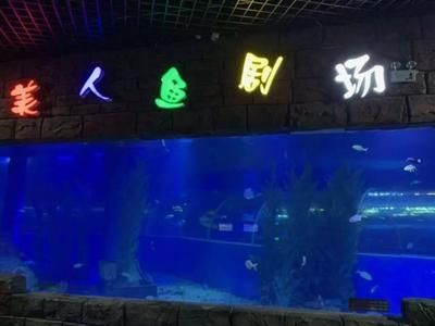 玉溪水族館vs祥龍魚場（玉溪水族館與祥龍魚場之間的差異之前，我們需要明確基本信息和業(yè)務(wù)范圍） 全國水族館企業(yè)名錄 第5張